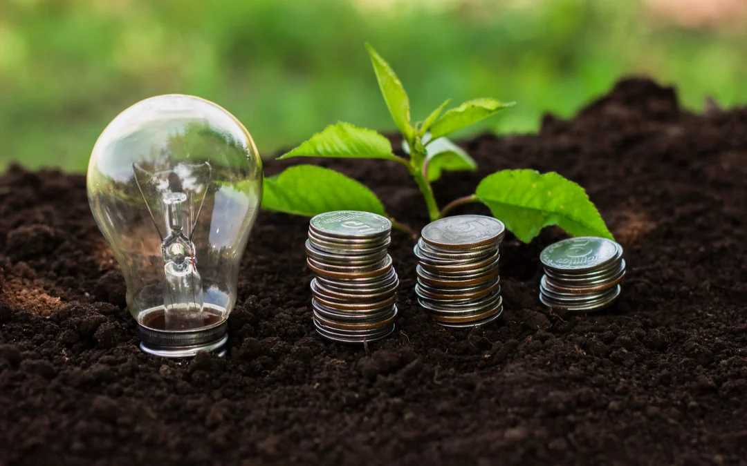 Économie d&rsquo;énergie en 5 étapes simples : transformez votre foyer en un modèle d&rsquo;éco-responsabilité